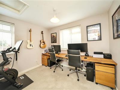 Picture 17